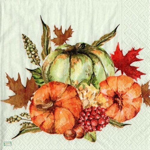 2 serviettes papier - légumes -13