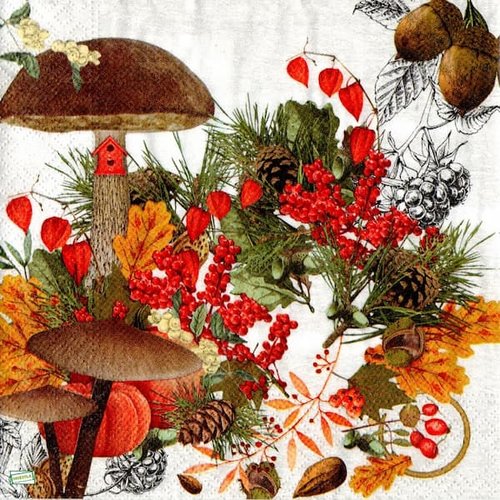 2 serviettes papier - légumes -14
