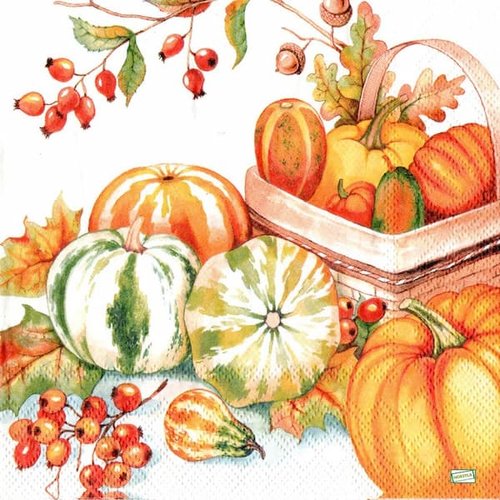 2 serviettes papier - légumes -20