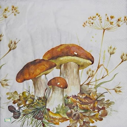2 serviettes papier - légumes -39