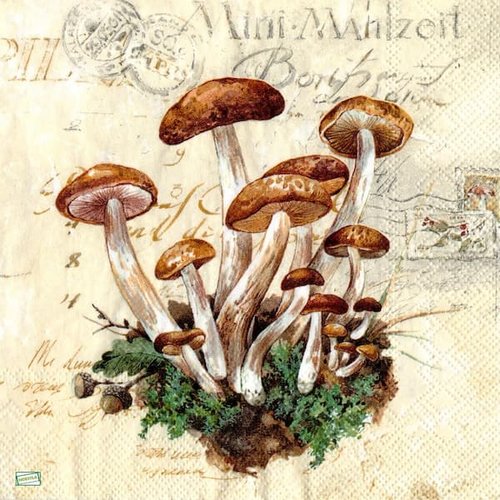 2 serviettes papier - légumes -43