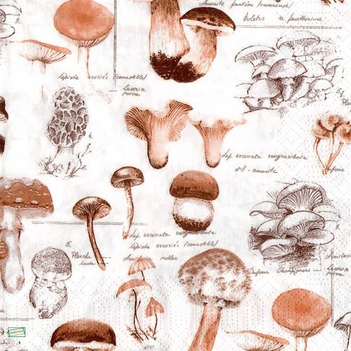 2 serviettes papier - légumes -53