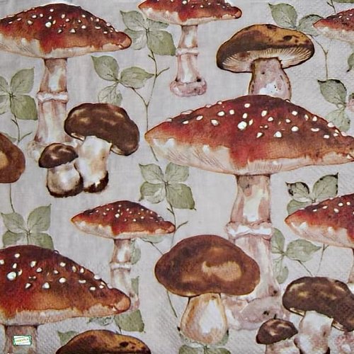 2 serviettes papier - légumes -58
