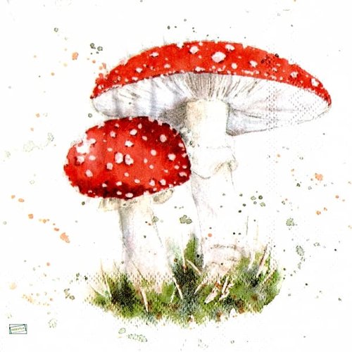 2 serviettes papier - légumes -62