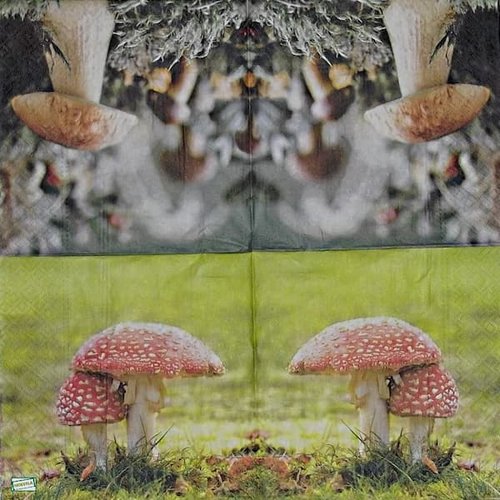 2 serviettes papier - légumes -71