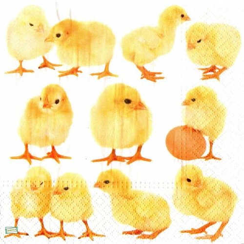 2 serviettes papier - oiseaux ferme -19