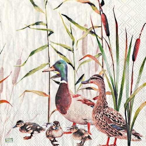 2 serviettes papier - oiseaux ferme -21