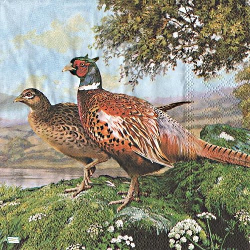 2 serviettes papier - oiseaux ferme -23