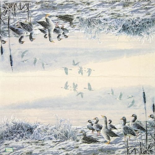 2 serviettes papier - oiseaux ferme -34