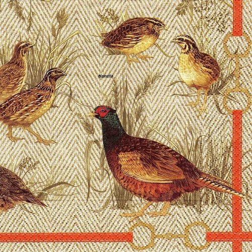 2 serviettes papier - oiseaux ferme -38