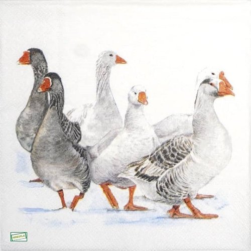 2 serviettes papier - oiseaux ferme -40