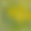 2 serviettes papier - oiseaux ferme -52