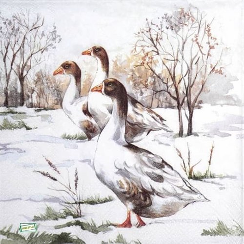 2 serviettes papier - oiseaux ferme -53
