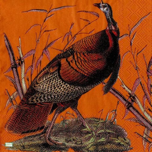 2 serviettes papier- oiseaux ferme -59