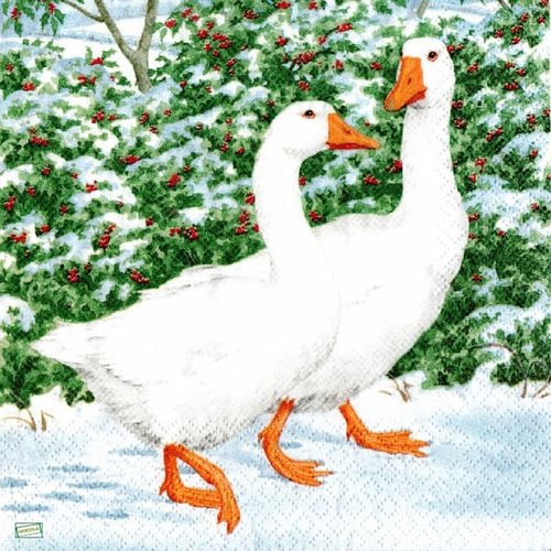 2 serviettes papier - oiseaux ferme -62