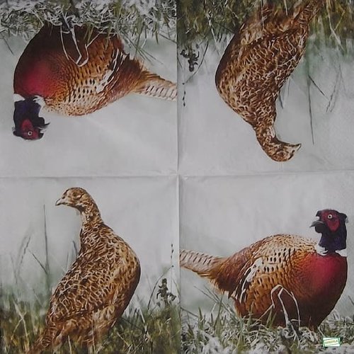 2 serviettes papier - oiseaux ferme -65