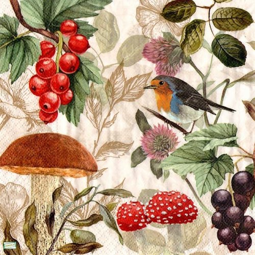 2 serviettes papier - fruits rouge -12
