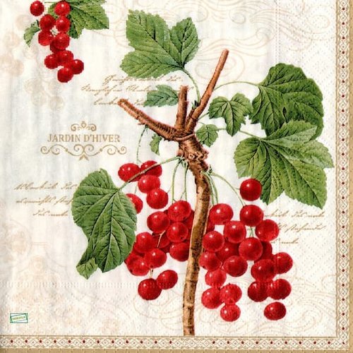 2 serviettes papier - fruits rouge -48