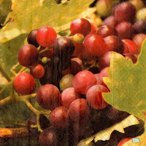 2 serviettes papier - fruits rouge -51