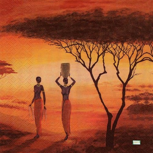 2 serviettes papier- afrique -3