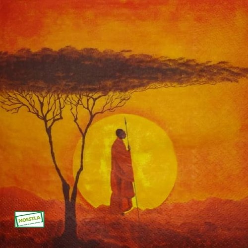 2 serviettes papier - afrique -5
