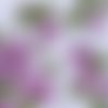 2 serviettes papier-roses pivoines-9