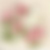 2 serviettes papier-roses pivoines-11
