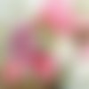 2 serviettes papier -roses pivoines-19