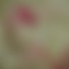 2 serviettes papier -roses pivoines-40