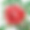 2 serviettes papier -roses pivoines-42