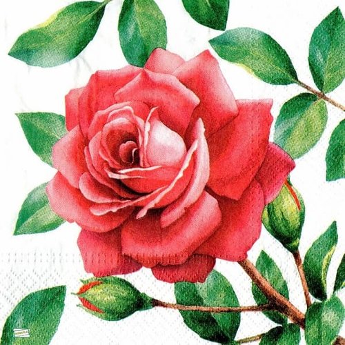 2 serviettes papier -roses pivoines-42