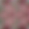 2 serviettes papier -roses pivoines-61