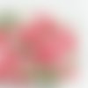 2 serviettes papier -roses pivoines-77