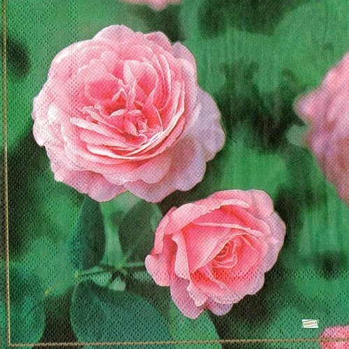 2 serviettes papier -roses pivoines-79