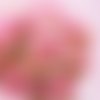 2 serviettes papier -roses pivoines-88