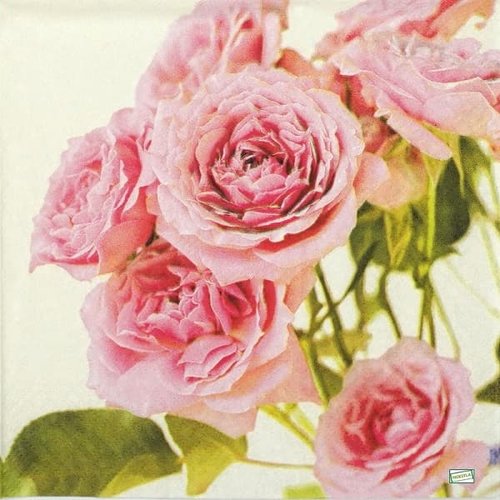 2 serviettes papier -roses pivoines-105