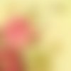 2 serviettes papier -roses pivoines-115