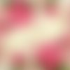 2 serviettes papier -roses pivoines-116