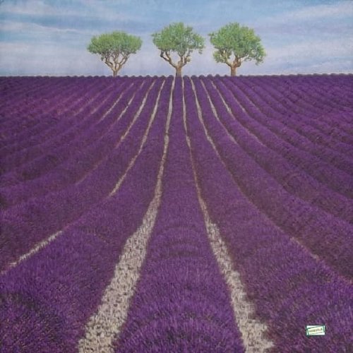 2 serviettes papier - coquelicots lavande -11