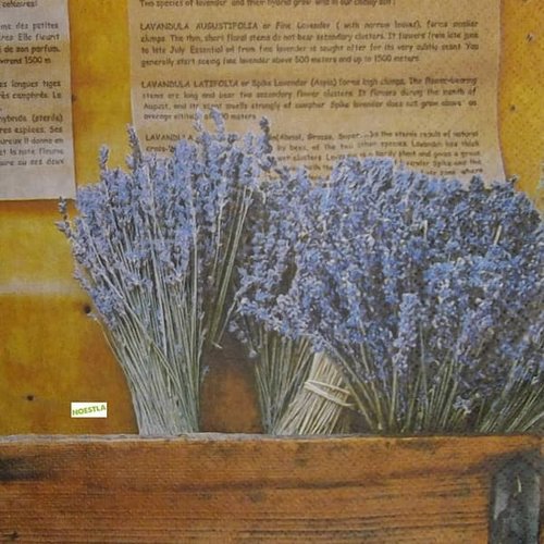 2 serviettes papier - coquelicots lavande -45