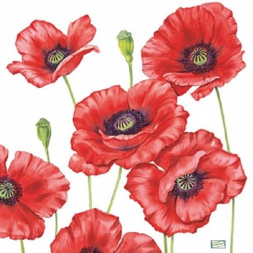 2 serviettes papier - coquelicots lavande -71