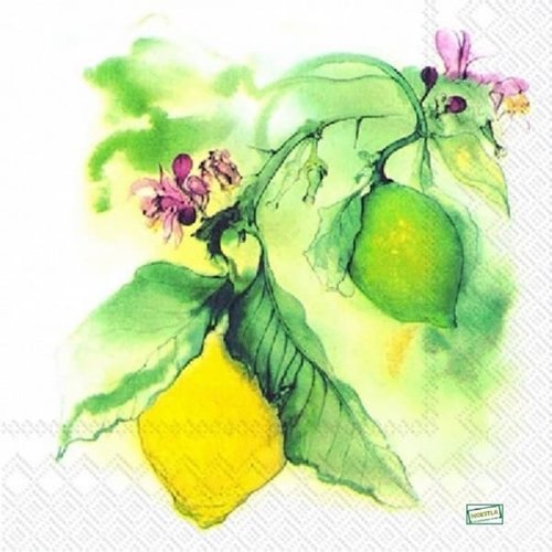 2 serviettes papier  - citrons oranges -2