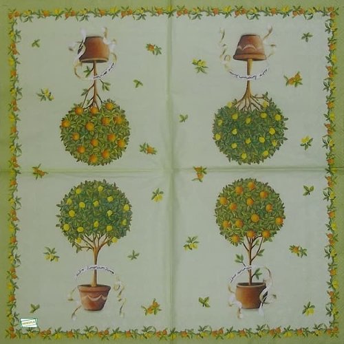 2 serviettes papier  - citrons oranges -5