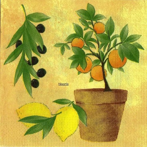 2 serviettes papier  - citrons oranges -12