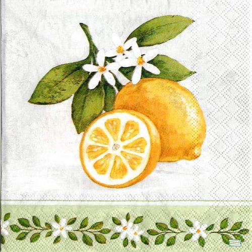 2 serviettes papier  - citrons oranges -15