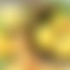 2 serviettes papier  - citrons oranges -20