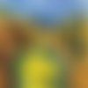 2 serviettes papier  - citrons oranges -32