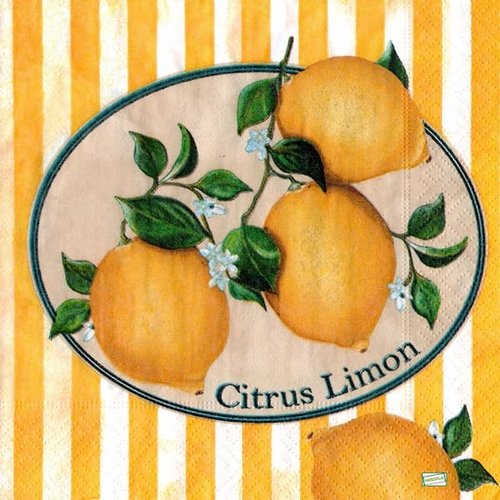 2 serviettes papier  - citrons oranges -33