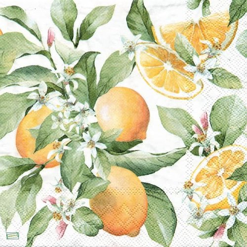 2 serviettes papier  - citrons oranges -34