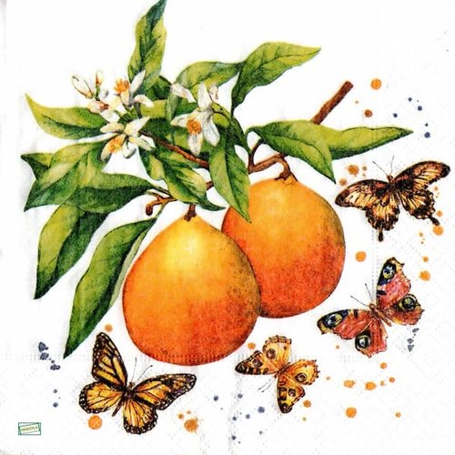 2 serviettes papier  - citrons oranges -35